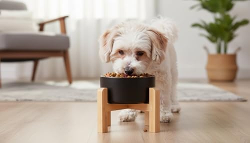 Elevated/Raised Ceramic Dog Bowl with Bamboo Stand,8 inch 7.6 Cups Non-Slip Heavy-Weighted Single Pet Dish, Reduces Neck Strain Black