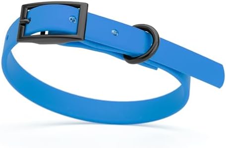 Dogline Biothane Waterproof Dog Collar Strong Coated Nylon Webbing with Black Hardware Odor- Proof for Easy Care Easy to Clean High Performance Fits Small Medium or Large Dogs, Cerulean Blue