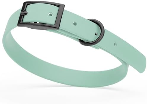 Dogline Biothane Waterproof Dog Collar Strong Coated Nylon Webbing with Black Hardware Odor- Proof for Easy Care Easy to Clean High Performance Fits Small Medium or Large Dogs, Sage Green