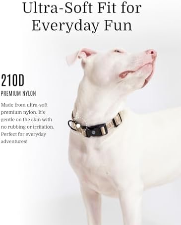 Fei & Eve Classic Dog Collar, Soft & Fur-Friendly