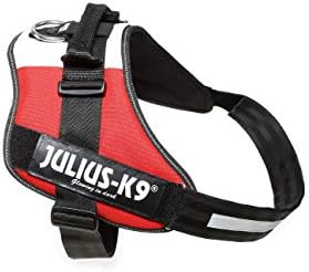 Julius-K9, 16IDC-FR-3, IDC Powerharness, Dog Harness, Size: 3, French Colours