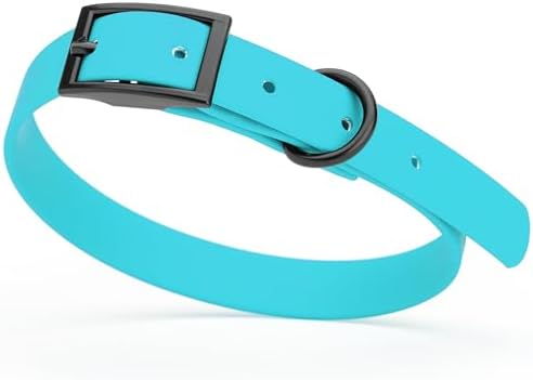 Dogline Biothane Waterproof Dog Collar Strong Coated Nylon Webbing with Black Hardware Odor- Proof for Easy Care Easy to Clean High Performance Fits Small Medium or Large Dogs, Sky Blue