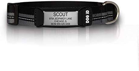 The Rock Solid Collar ID (Slate Black, Small)