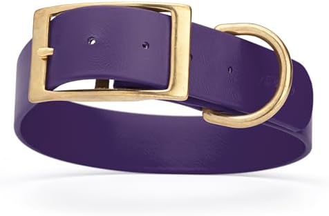 Viper Biothane Heavy Duty Waterproof Dog Collar Strong Coated Nylon Webbing w/Solid Brass Hardware Odor-Proof Easy to Clean High Performance Fits Small Medium or Large Dogs, Violet Purple