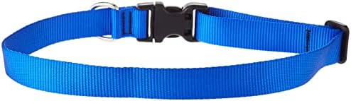 LupinePet Basics 1" Blue 16-28" Adjustable Collar for Large Dogs