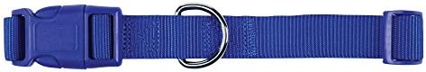 Zack & Zoey 1" Wide Nylon Dog Collar, Fits Necks 18" to 26", Nautical Blue