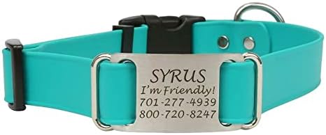 dogIDs Personalized Quick Release Waterprooft ScruffTag Dog Collar - Built-in Custom Laser Engraved Nameplate, Odor Resistant - Teal, 1 in x 13-18 in (Fits Neck Sizes: 13-18 in)