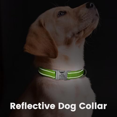 Silent Dog Collar Personalized with Name Phone Number Laser Engraved