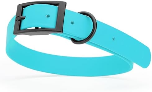 Dogline Biothane Waterproof Dog Collar Strong Coated Nylon Webbing with Black Hardware Odor- Proof for Easy Care Easy to Clean High Performance Fits Small Medium or Large Dogs, Sky Blue