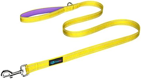 PHOEPET 5 Feet Dog Leash - Dual-Side Reflective - Soft Padded Handle