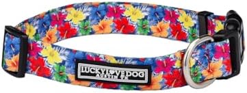 Lucky Love Dog Collar for Small Dogs Cute Adjustable Soft – Hana, Small