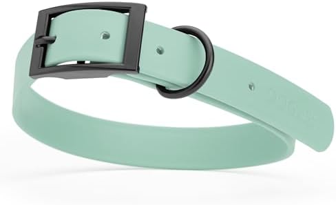 Dogline Biothane Waterproof Dog Collar Strong Coated Nylon Webbing with Black Hardware Odor- Proof for Easy Care Easy to Clean High Performance Fits Small Medium or Large Dogs, Sage Green