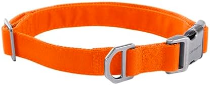 Carhartt Field Nylon Dog Collar Hunter Orange Large