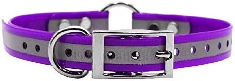 Reflective D & Center Ring Dog Collar w Custom Name Tag 3/4x15, Purple