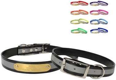 Reflective Dayglo Dog Collar Free Engraved Brass ID tag USA (19 inch Fits 13-17 inch Neck,Black)