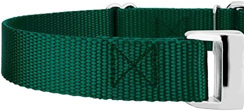 Country Brook Petz - Martingale Dog Collar - Heavy Duty Nylon Adjustable Martingale Dog Collar with Metal Buckle for Small Medium Large Breeds - 30+ Color Options (5/8 Inch, Extra Small, Green)