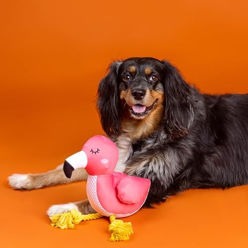 Fringe Studio Floating Dog Toy with Rope BE FLAMAZING, Pet Shop Collection (640028)