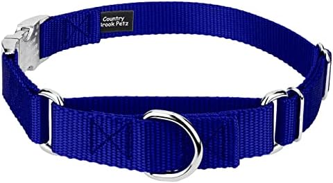 Country Brook Petz - Martingale Dog Collar Heavy Duty Nylon Adjustable Martingale Dog Collar with Metal Buckle for Small Medium Large Breeds 30+ Color Options (1 Inch, Extra Large, Bright Royal Blue)