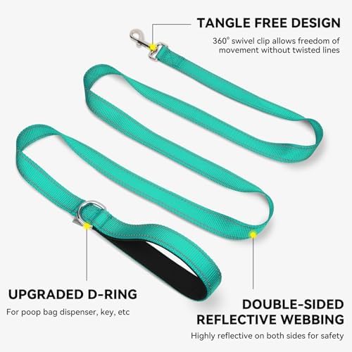 Joytale Reflective Dog Leash for Medium & Large Dogs, 4 FT x 1", Turquoise