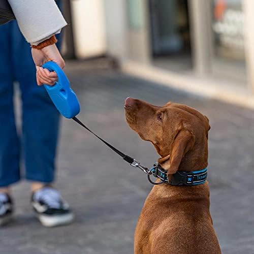 Retractable Leash for Medium Large Dogs Flippy ONE Tape M, 5 m extendable Tape, max 25 kg, Red