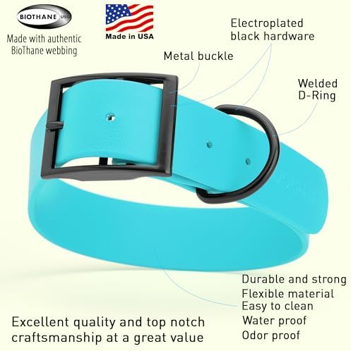 Dogline Biothane Waterproof Dog Collar Strong Coated Nylon Webbing with Black Hardware Odor- Proof for Easy Care Easy to Clean High Performance Fits Small Medium or Large Dogs, Sky Blue