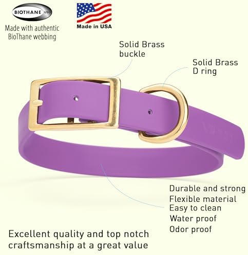 Viper Biothane Heavy Duty Waterproof Dog Collar Strong Coated Nylon Webbing w/Solid Brass Hardware Odor-Proof for Easy Care to Clean High Performance Fits Small Medium or Large Dogs, Amethyst Purple