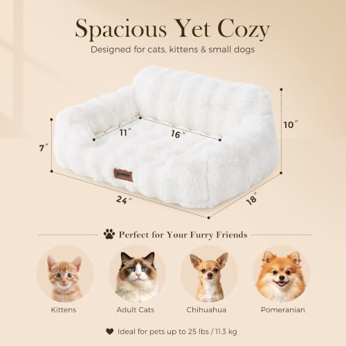 ZOMISIA Orthopedic Cat Couch Bed for Indoor Cats, Removable Washable Cover