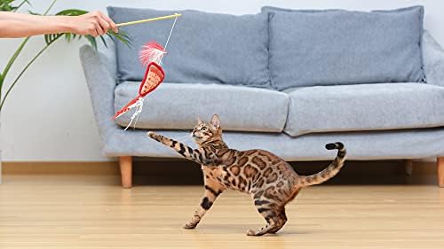 Friends The TV Show Cat Toy Joey Loves Pizza Catnip Wand, Catnip Inside | Friends for Pets | Interactive Toy for Cats, Dancing Teaser with Ribbons | Cat Exercise Toy with Feathers and Catnip