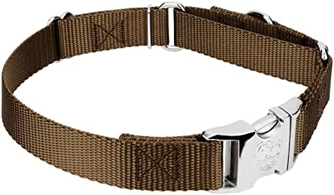 Country Brook Petz - Martingale Dog Collar - Heavy Duty Nylon Adjustable Martingale Dog Collar with Metal Buckle for Small Medium Large Breeds - 30+ Color Options (1 Inch, Large, Coyote Tan)