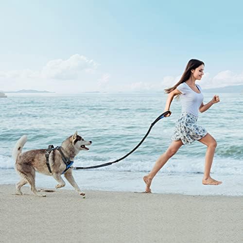 PoyPet 5 Feet Dog Leash with 2 Cushioned Handles (Blue)