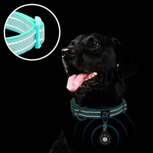 azuza Airtag Dog Collar, Large Dog Collar with Airtag Holder, Teal, L