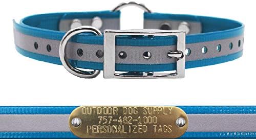 Reflective Waterproof D & Center Ring Dog Collar w Custom Name Tag, Teal