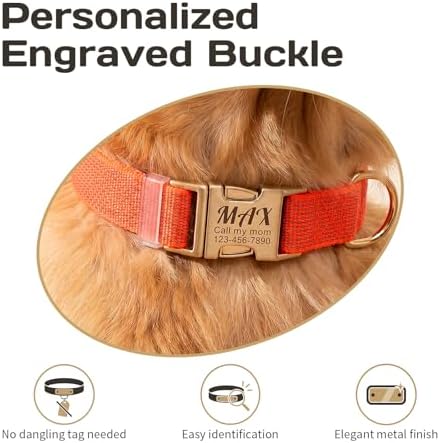 Custom Dog Collar with Name and Phone Number