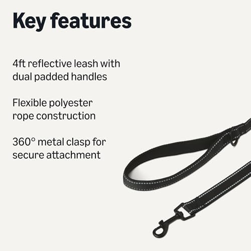 Amazon Basics Dog Leash, 4ft with 2 Comfortable Dual Padded Handles for Traffic Control, Highly Reflective Leashes for Large & Medium Dogs, Night Safety, Easy Snap Hook, Black