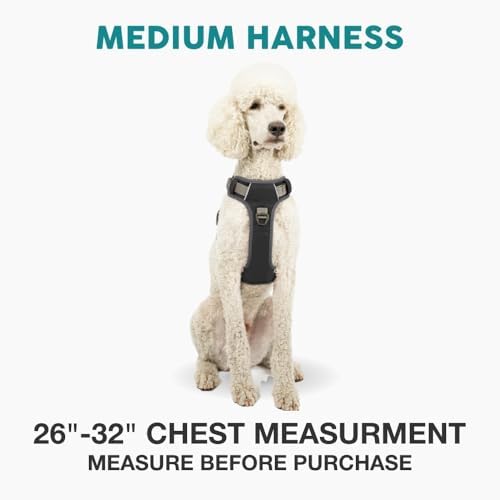 Embark No Pull Dog Harness, Reflective Adjustable Training Vest, No Choke