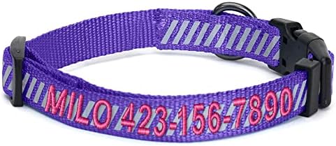 Pawtitas Reflective Dog Collar - Personalized Name & Phone Number, Adjustable for Small Dogs & Puppies - Purple