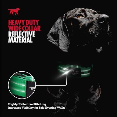 Tuff Pupper Heavy Duty Tactical Dog Collar | 1.5" Wide Ballistic Nylon | Reflective Stitching | Integrated ID Tag Holder | Stainless Steel Buckle | Padded Lining | Medium & Large Dogs (Green, Medium)