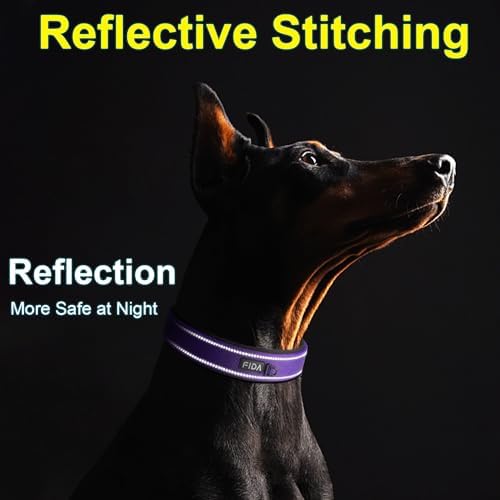 Fida Padded Dog Collar for Small Dogs with Metal Belt Buckle, Purple