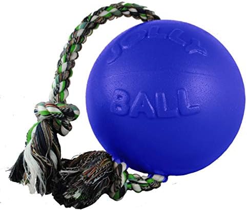 Jolly Pets Romp-N-Roll Rope & Ball Dog Toy, 8 in Large, Blue