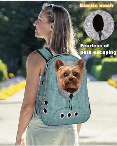 Small Dog Cat Chest Backpack Carrier,Large Space Ventilated Front Facing Backpack Carrier for Puppy,Lightweight Doggy Backpack for Hiking,Camping,Travel,Outdoor,Max 12 lbs(Cyan)