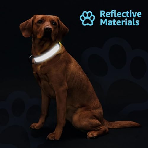 Reflective Personalized Dog Collar, Custom Embroidered Name & Number