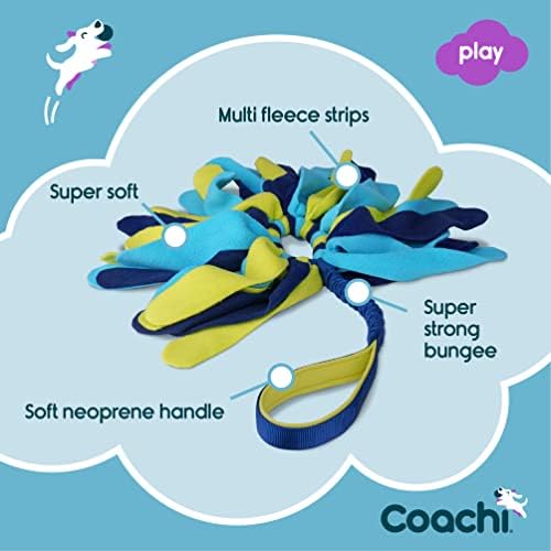 Coachi Tuggi Spider - Interactive Dog Toy for Tug of War & Play
