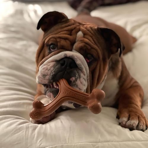 Nylabone Power Chew Easy-Hold Wishbone Dog Chew Toy, Large