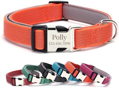 Personalized Dog Collars with Name and Phone