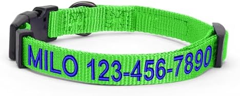 Pawtitas Personalized Dog Collar Small Dog Collar Embroider with Name Phone Number Puppy Collar Adjustable Customized Collar for Small Dogs Breeds Puppy Green Dog Collar
