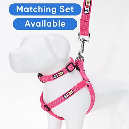 Pawtitas Reflective Dog Collar for Small Dogs – Adjustable Nylon Puppy Collar with Quick-Release Buckle | Fits Neck 11–16 in | Night Safety Training Collar | S | Pink
