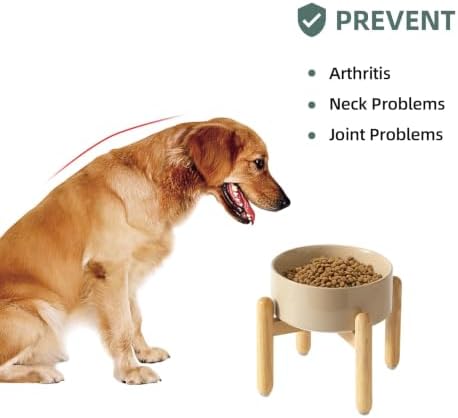 Havniva Ceramic Dog Bowls Elevated, Raised Dog Food Bowl for Small Dogs