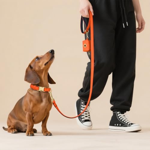 Didog Soft Padded Dog Collar for Small Dogs, Orange, S Neck 10-15"
