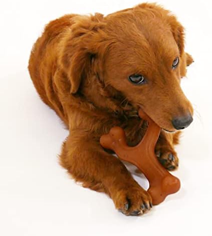 Nylabone Strong Chew Gourmet Style Wishbone Dog Chew Toy, Bacon Flavor