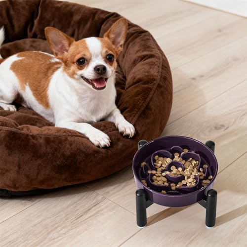 Elevated Slow Feeder Dog Bowl, 0.8 Cups Ceramic Raised Slow Feeder with Stainless Stand, 6.3 Inch Wide Lifted Dog Bowl for Small Breeds to Control Eating Speed, Purple